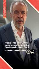 Estatueta cultural exposta na COP30