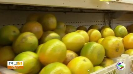 Dicas de higiene na cozinha durante o Natal