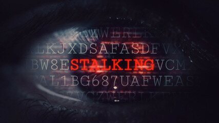 Registros de câmeras mostrando a aproximação de Cristiano à casa de Isis