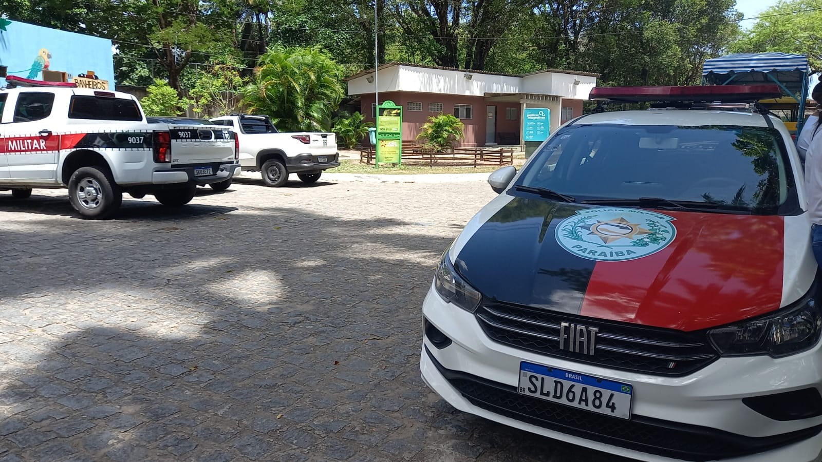 O que se sabe sobre o trágico caso do homem atacado por leoa em zoológico de João Pessoa