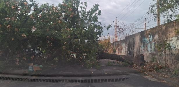 Madrugada Tempestuosa no Rio de Janeiro: Chuvas Fortes, Ventos de 78 km/h e Quedas de Árvores