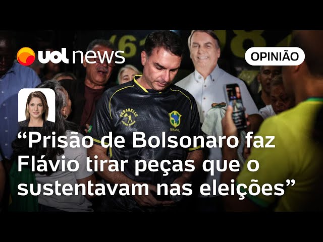 Ilustração do STF e debates sobre anistia política